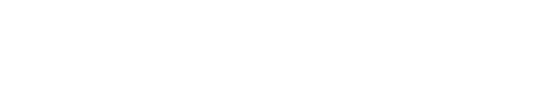 Connect Bus Logo